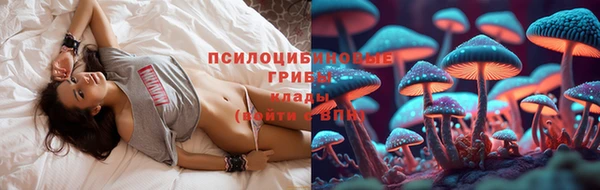 дурь Алексин