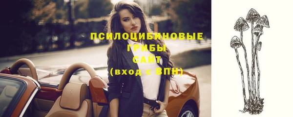 амф Абаза