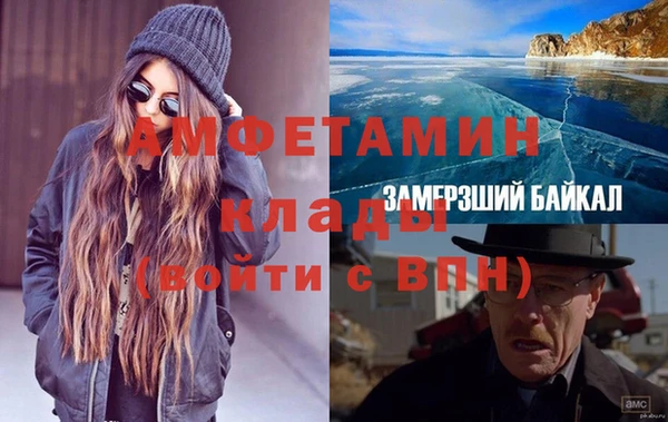 гидра Алексеевка