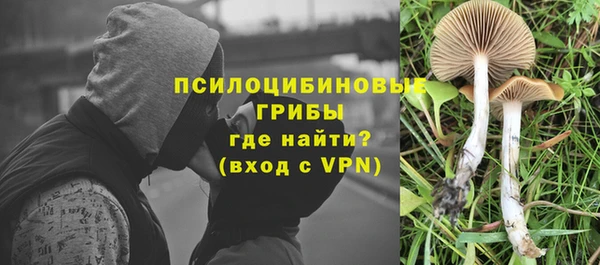эйфоретик Абдулино