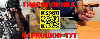 крисы Ливны