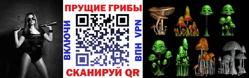 Псилоцибиновые грибы Cubensis  Домодедово 