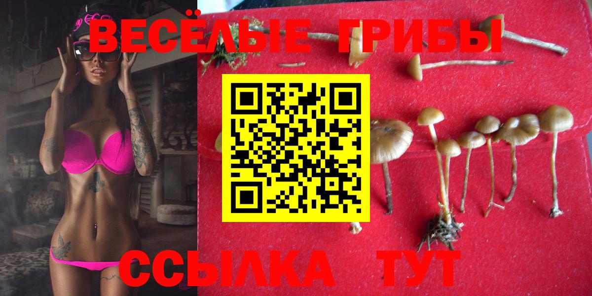 Псилоцибиновые грибы мухоморы Домодедово