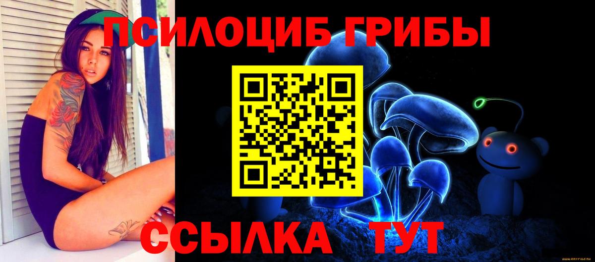 Домодедово  Псилоцибиновые грибы Psilocybe  где продают   Вход с VPN 